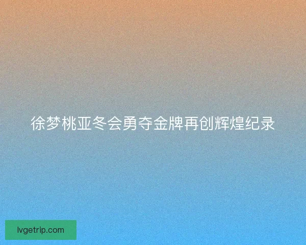 徐梦桃亚冬会勇夺金牌再创辉煌纪录